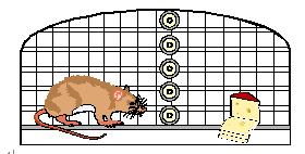 腾博汇游戏官网 - 诚信为本,专业服务!