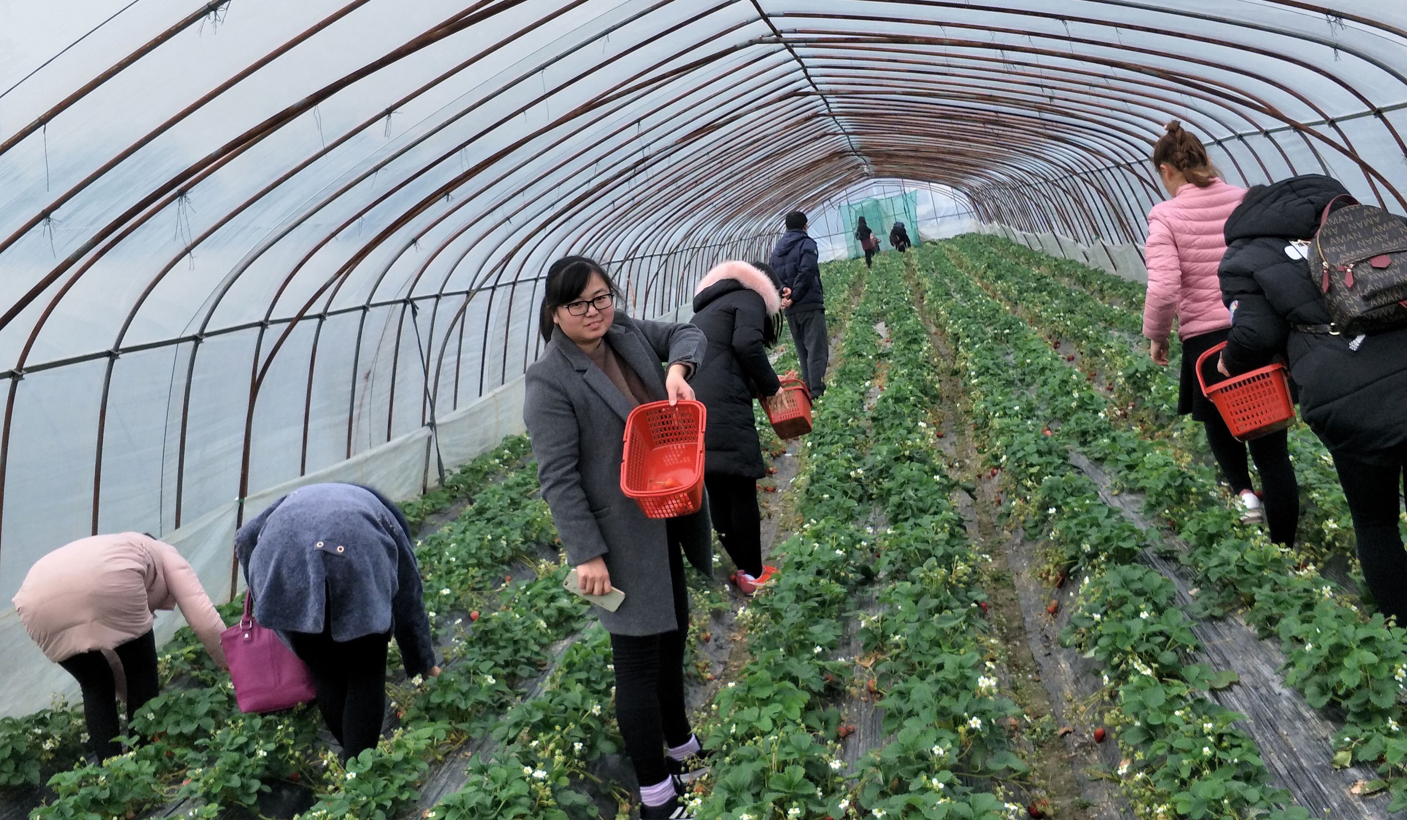 腾博汇游戏官网 - 诚信为本,专业服务!