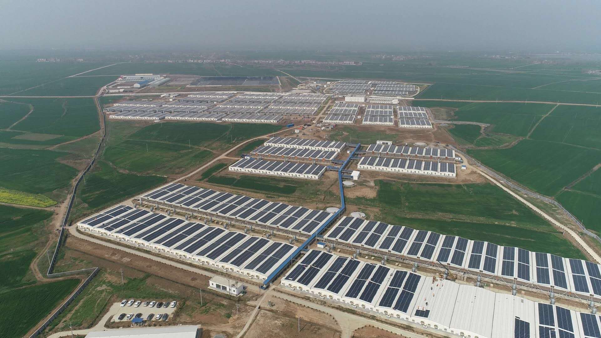 腾博汇游戏官网 - 诚信为本,专业服务!