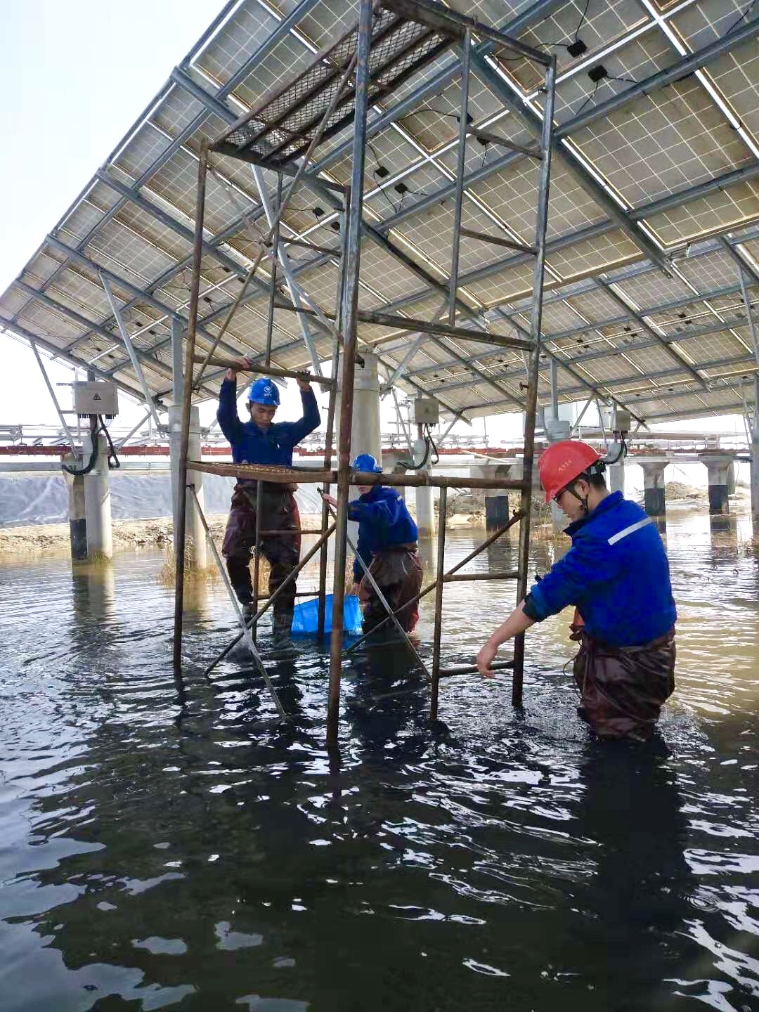 腾博汇游戏官网 - 诚信为本,专业服务!