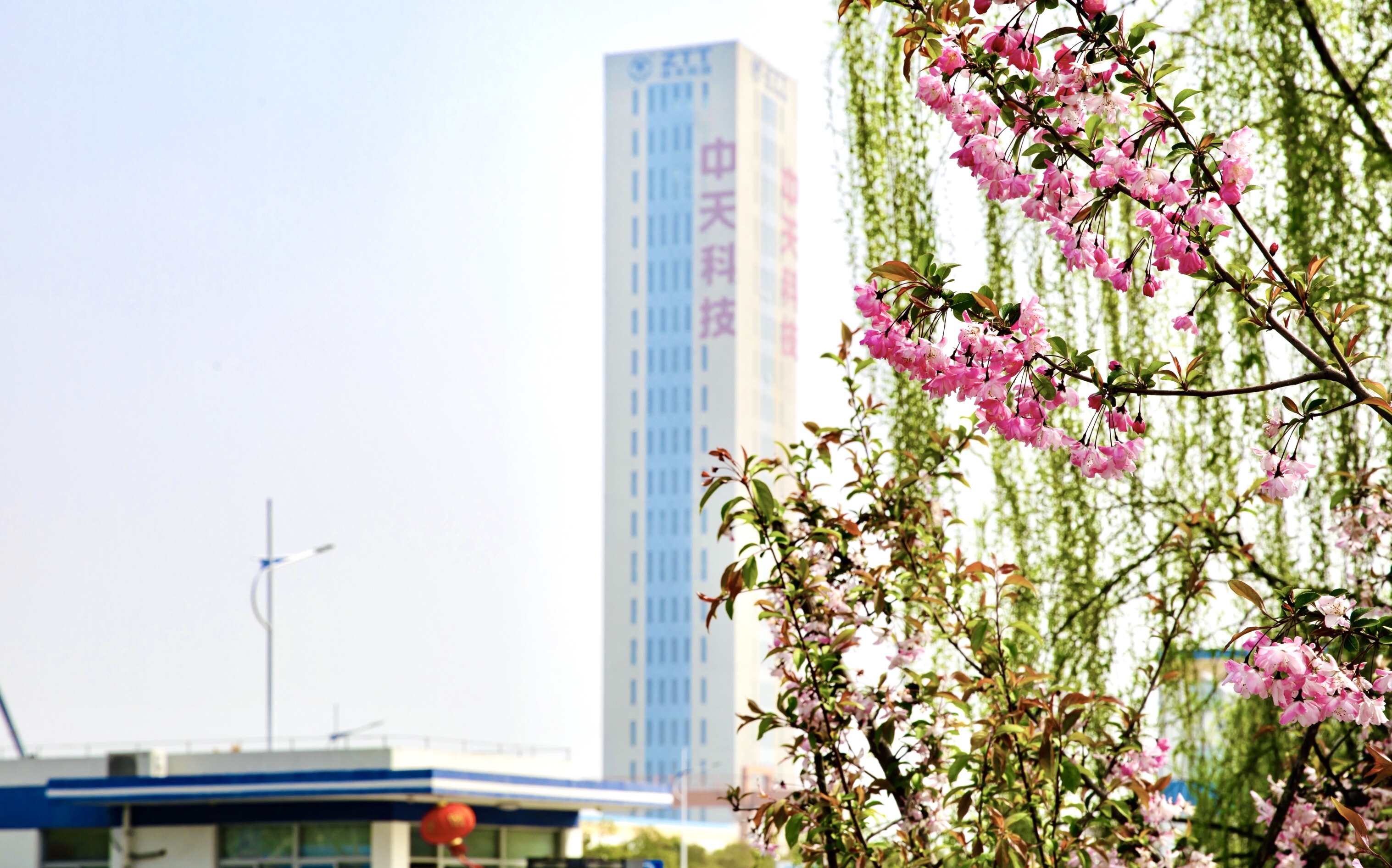 腾博汇游戏官网 - 诚信为本,专业服务!