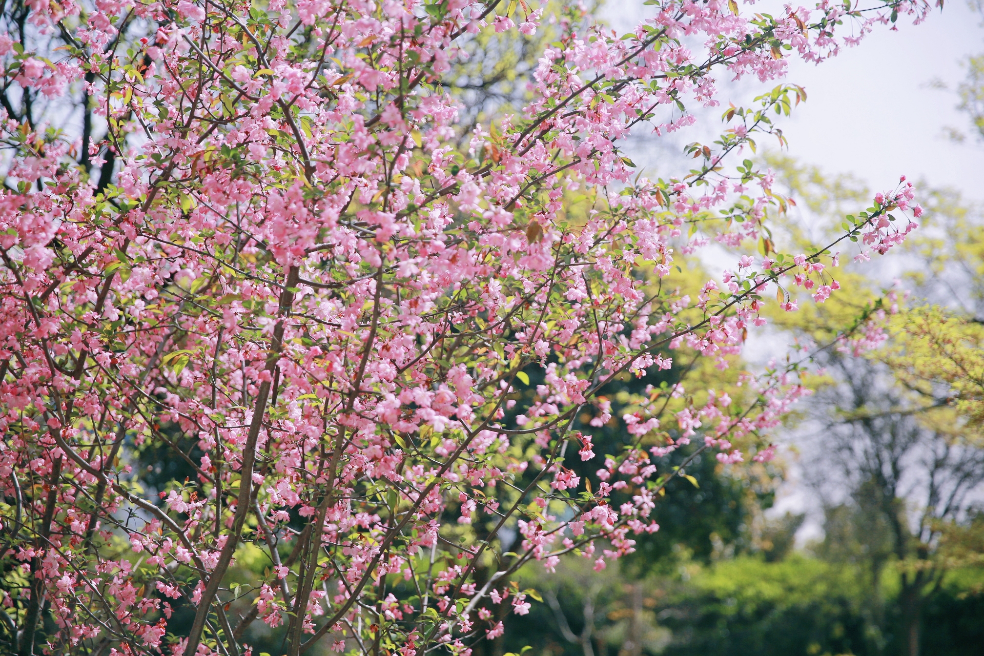 腾博汇游戏官网 - 诚信为本,专业服务!